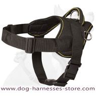 Argentine dogo Nylon multi-purpose,tracking/pulling dog harness