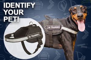 Nylon Dog Harness