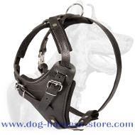 Chinese Shar-Pei walking Leather Dog Harness for Sharpei
