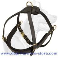 Sharpei Pulling/Tracking Leather Dog Harness-Shar pei harness