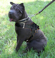 Sharpei nylon dog harness with handle for walking/tracking