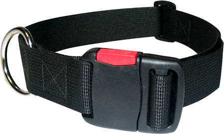 buckle dog harness