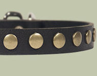 Studded Leather Puppy Collar for DOG puppy