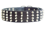 Wide Studded Leather Dog Collar