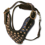 Studded leather walking dog harness