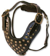 Studded Leather Dog Harness - Padded leather dog harness