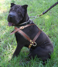 tracking pulling dog harness for Sharpei click here!