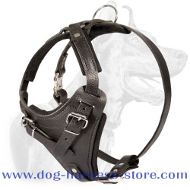 Durable Leather Dog Harness with Wide Chest Plate