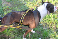 WEIGHT PULL HARNESS- Weight pulling dog harness