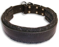 1 Inch (25 mm) Wide Leather Collar with Thick Felt Padding