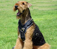 airedale terrier dog harness for walking