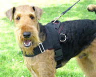 Nylon multi-purpose dog harness for tracking/pulling-Airedale