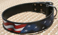 Best Custom Painted Leather Collar in the American Flag