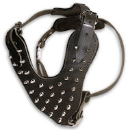 Large Spiked Leather Dog Harness fog big dogs- custom made
