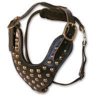 Large leather dog harness with studs for Large Dog Breeds