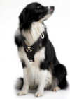berness harness