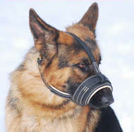Royal Nappa Leather Dog Muzzle - product code:M88