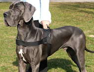 nylon dog harness for great dane with handle