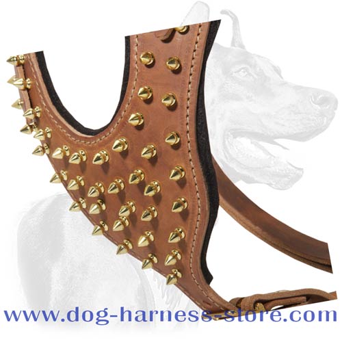 Durable Walking Leather Dog Harness with Brass Spikes for All Breeds