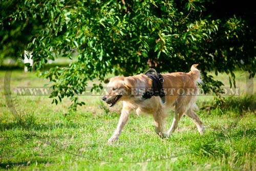 Strong Nylon Harness for Tracking and Pulling