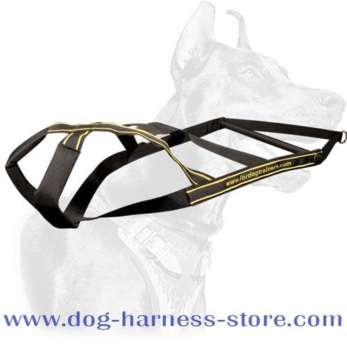 best dog harness to stop pulling