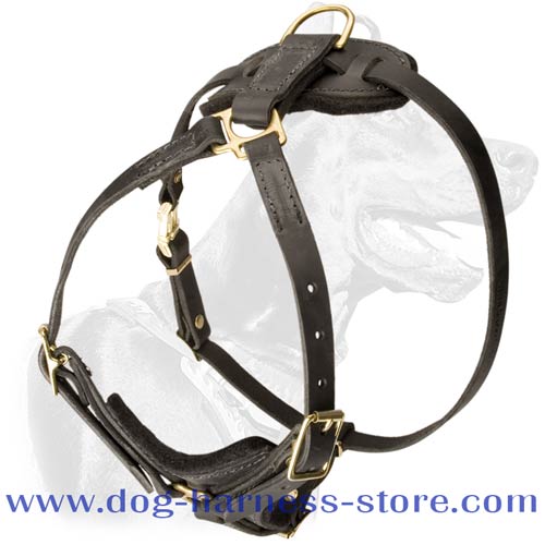 Tracking/Walking Dog Harness of Light Weight for Different Breeds