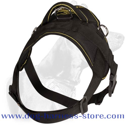 Light Weight Dog Harness Made of Nylon