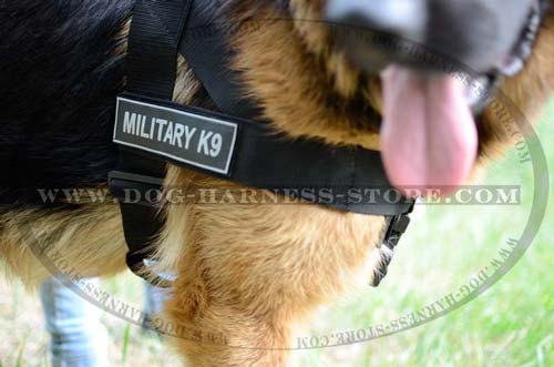 Military Identification patches on Dog Harness