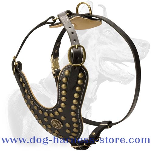 designer dog harness