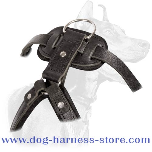 Dog Harness of Solid Leather for Agitation/Protection Training with Wide Padded Chest Plate