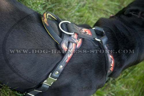 Dog Harness for Working Dogs' Training