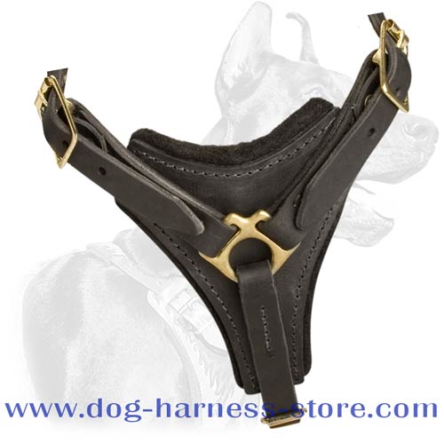 Strong Leather Dog Harness for Tracking Work
