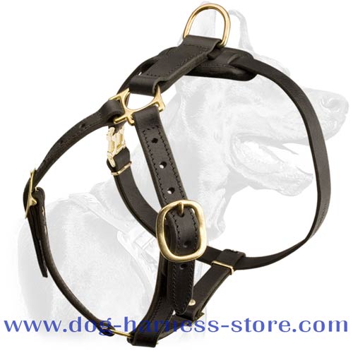 Tracking-Walking Leather Dog Harness for All Breeds