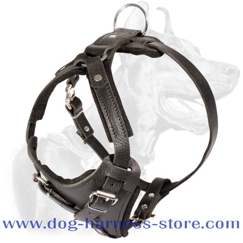 Leather Training Dog Harness with Wide Chest Plate and Straps