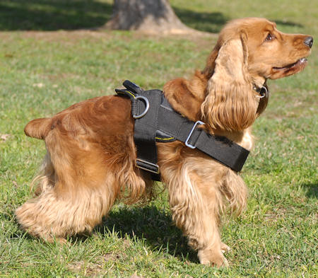 Nylon multi-purpose dog harness for tracking/pulling-Spaniel