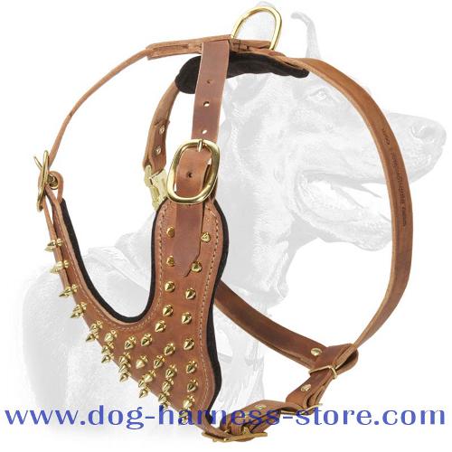 Walking Dog Harness with Y-Shaped Chest Plate and Brass Spikes