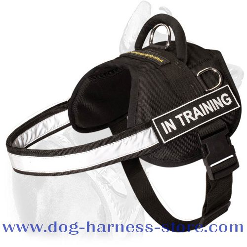 Multifunctional Nylon Harness with ID Patches for All Breeds