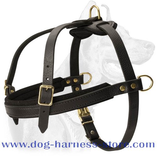 Leather Training Dog Harness for Pulling/Tracking Work
