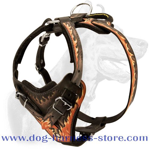 Comfort Padded Dog Harness for Training and Walking