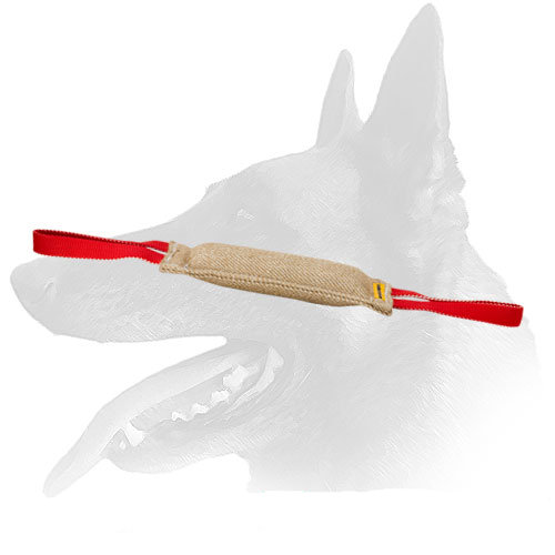 High Quality Jute Tug for a Puppy