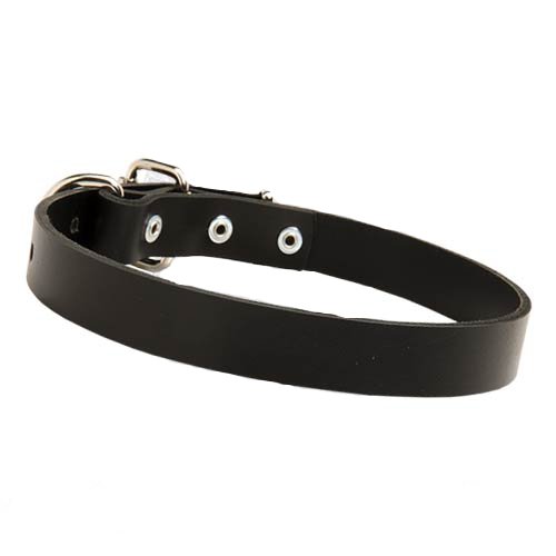 Elegant leather dog collar