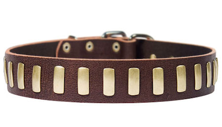 Similar Dream Weaver Leather Dog collar 3/4" for Dog