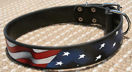 American Flag Dog Collar for Casual Walking