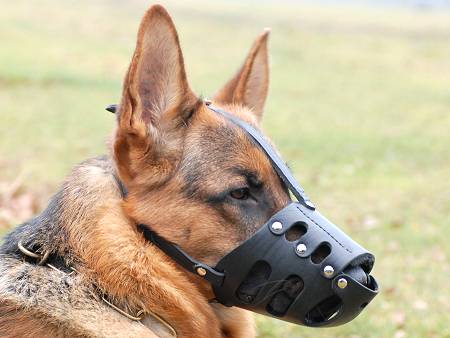k9 dog muzzle