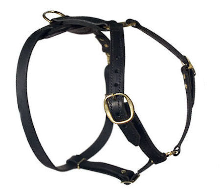 Handmade in Britain padded leather dog lead