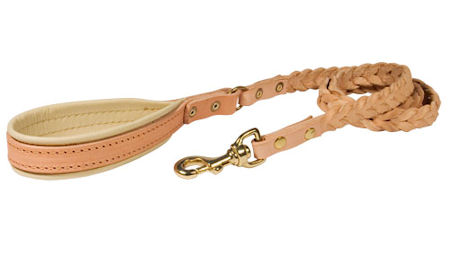 Leather 4 Foot Leash for DOG