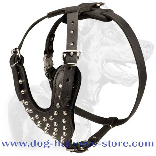 Walking Leather Dog Harness with Padded Y-shaped Chest Plate and Stunning Studs
