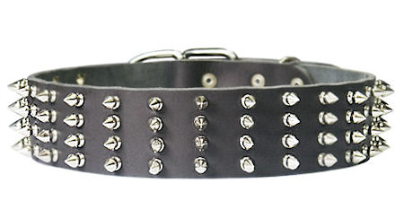 2 inch wide Leather Spiked Dog Collar for every day walking