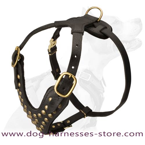 Labrador Studded Walking Handmade Leather Dog Harness
