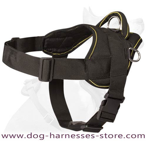 Fila Brasileiro Nylon dog harness with handle-Brazilian Mastiff